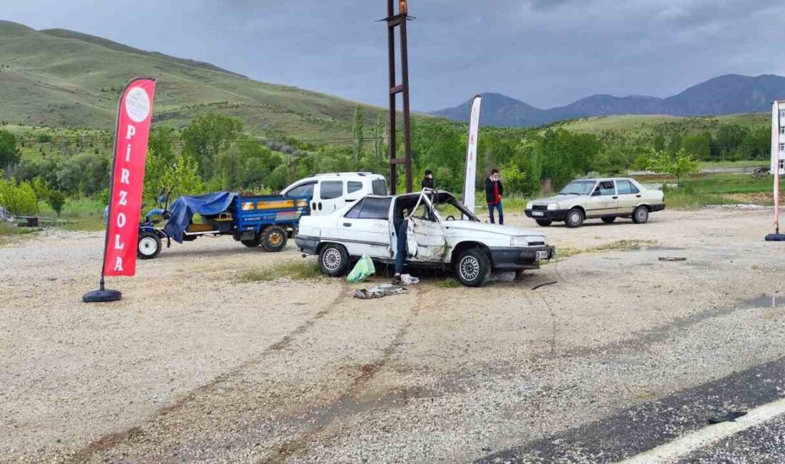 MALATYA'NIN DOĞANŞEHİR İLÇESİNDE OTOMOBİLİN