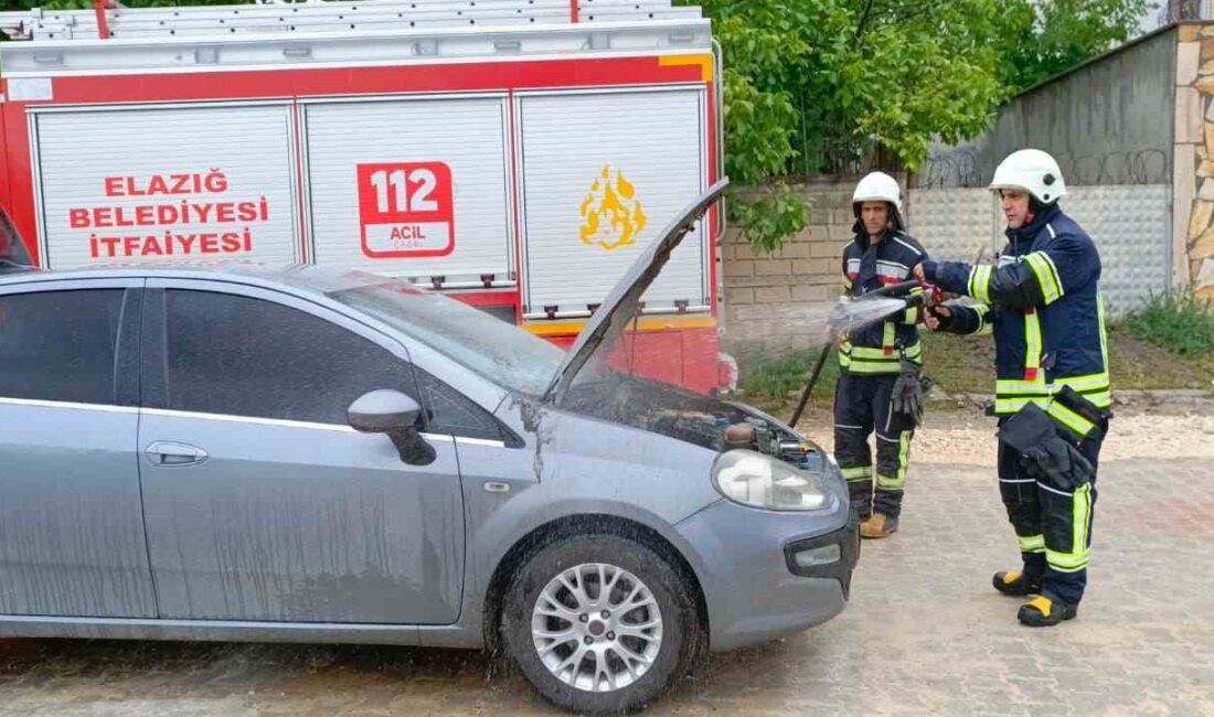 ELAZIĞ’DA SEYİR HALİNDE OLAN