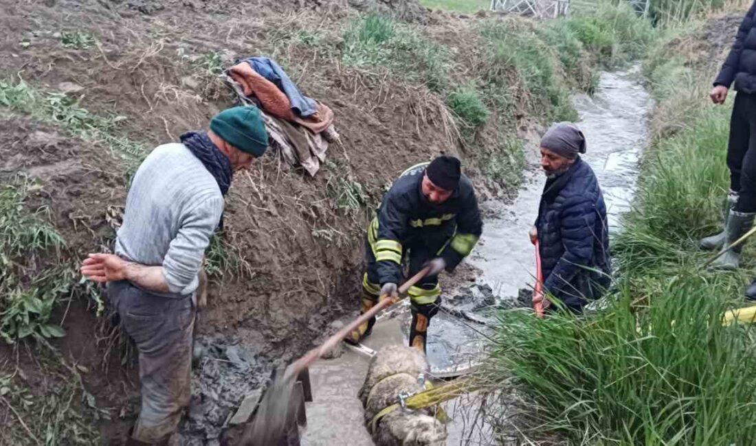 ERZİNCAN’IN ÇADIRTEPE KÖYÜNDE SULAMA