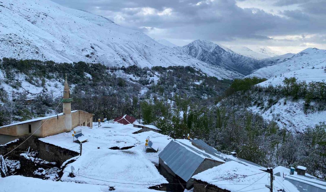 VAN'IN BAHÇESARAY İLÇESİNDE GECE