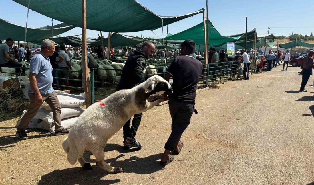 Bayramın ilk gününde kurban pazarında hareketlilik