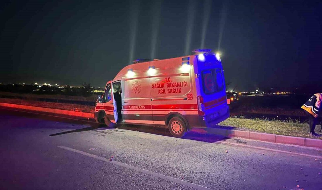 KONTROLDEN ÇIKAN AMBULANS REFÜJE