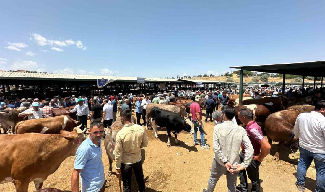 DEPREM BÖLGESİ MALATYA'DA KURBAN