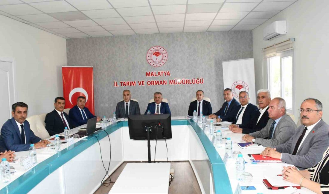 MALATYA KAYISISINDA 2024 YILI