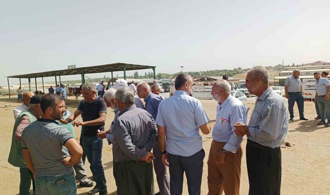 DEPREM BÖLGESİ MALATYA’DA KURBAN